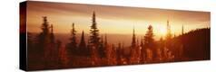 Stretched Canvas Print