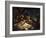 Fish, 1620-Frans Snyders-Framed Giclee Print