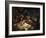 Fish, 1620-Frans Snyders-Framed Giclee Print