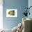 Fish 2 Blue-Yellow-Olga And Alexey Drozdov-Giclee Print displayed on a wall