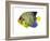 Fish 2 Blue-Yellow-Olga And Alexey Drozdov-Framed Giclee Print