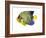 Fish 2 Blue-Yellow-Olga And Alexey Drozdov-Framed Giclee Print