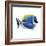 Fish 4 Blue-Yellow-Olga And Alexey Drozdov-Framed Giclee Print