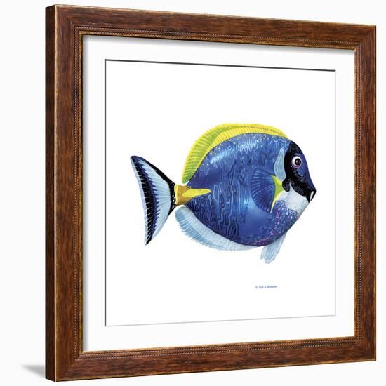 Fish 4 Blue-Yellow-Olga And Alexey Drozdov-Framed Giclee Print