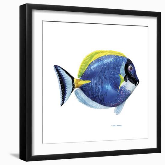 Fish 4 Blue-Yellow-Olga And Alexey Drozdov-Framed Giclee Print