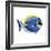 Fish 4 Blue-Yellow-Olga And Alexey Drozdov-Framed Giclee Print