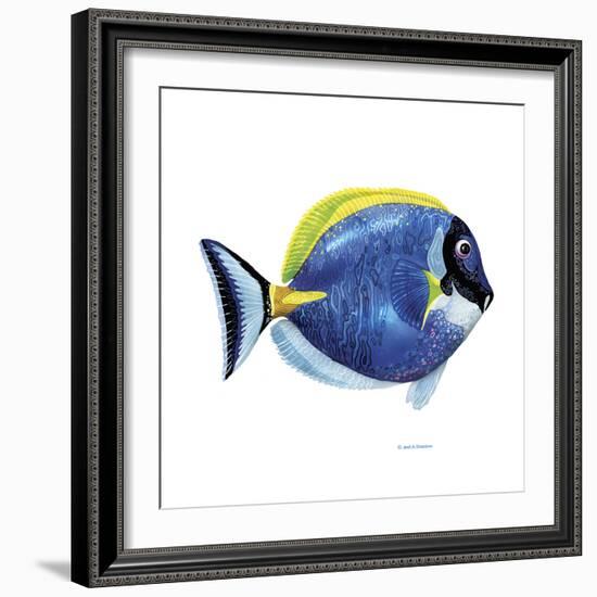 Fish 4 Blue-Yellow-Olga And Alexey Drozdov-Framed Giclee Print