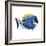 Fish 4 Blue-Yellow-Olga And Alexey Drozdov-Framed Giclee Print