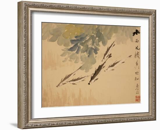 Fish, A Leaf from an Album of Various Subjects-Xu Gu-Framed Giclee Print