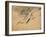 Fish, A Leaf from an Album of Various Subjects-Xu Gu-Framed Giclee Print