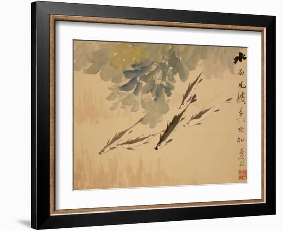 Fish, A Leaf from an Album of Various Subjects-Xu Gu-Framed Giclee Print