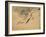 Fish, A Leaf from an Album of Various Subjects-Xu Gu-Framed Giclee Print