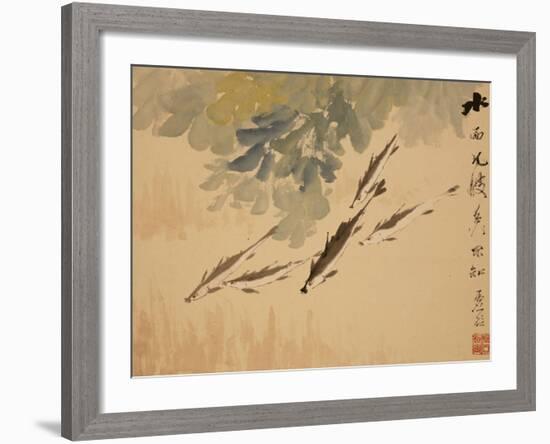 Fish, A Leaf from an Album of Various Subjects-Xu Gu-Framed Giclee Print