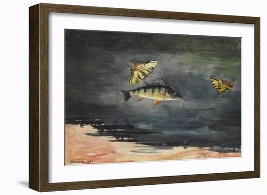 Fish and Butterflies, 1900 (W/C over Graphite on Cream Wove Paper)-Winslow Homer-Framed Giclee Print