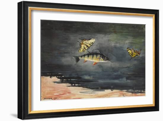 Fish and Butterflies, 1900 (W/C over Graphite on Cream Wove Paper)-Winslow Homer-Framed Giclee Print