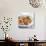 Fish And Chips-David Munns-Photographic Print displayed on a wall