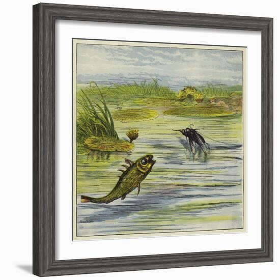 Fish and Fly-Ernest Henry Griset-Framed Giclee Print