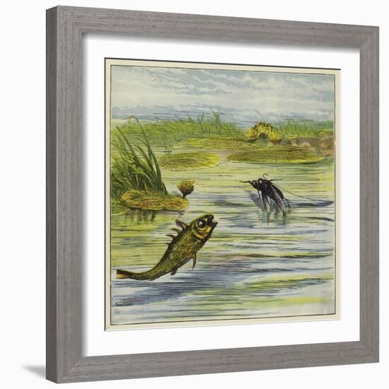 Fish and Fly-Ernest Henry Griset-Framed Giclee Print