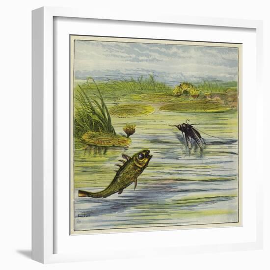 Fish and Fly-Ernest Henry Griset-Framed Giclee Print