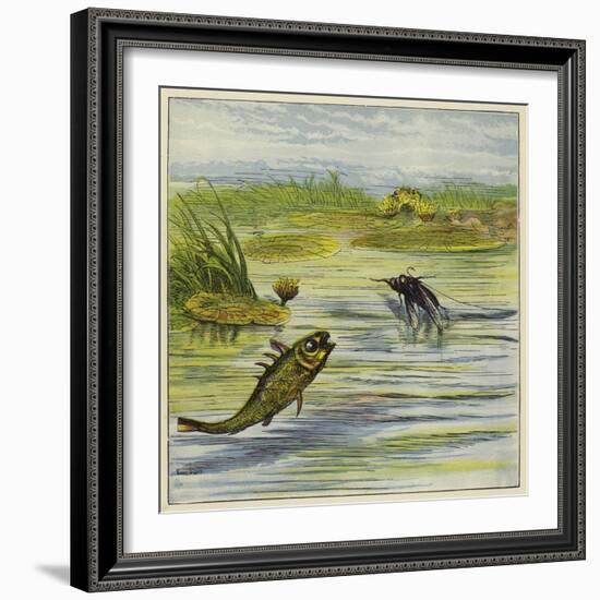 Fish and Fly-Ernest Henry Griset-Framed Giclee Print