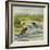 Fish and Fly-Ernest Henry Griset-Framed Giclee Print