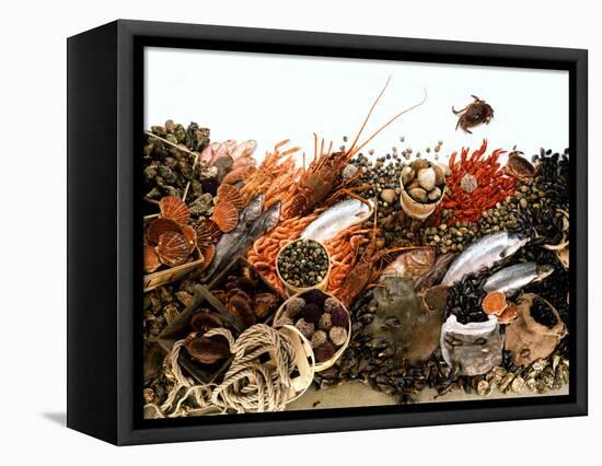 Fish and Seafood Still Life (Symbolic Picture)-Rauzier-Riviere-Framed Premier Image Canvas
