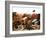 Fish and Seafood Still Life (Symbolic Picture)-Rauzier-Riviere-Framed Photographic Print