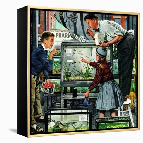 "Fish Aquarium", October 30, 1954-Stevan Dohanos-Framed Premier Image Canvas