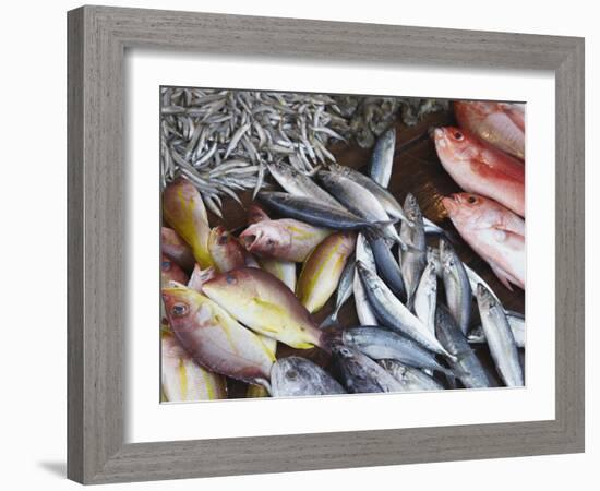 Fish at Market, Weligama, Southern Province, Sri Lanka, Asia-Ian Trower-Framed Photographic Print