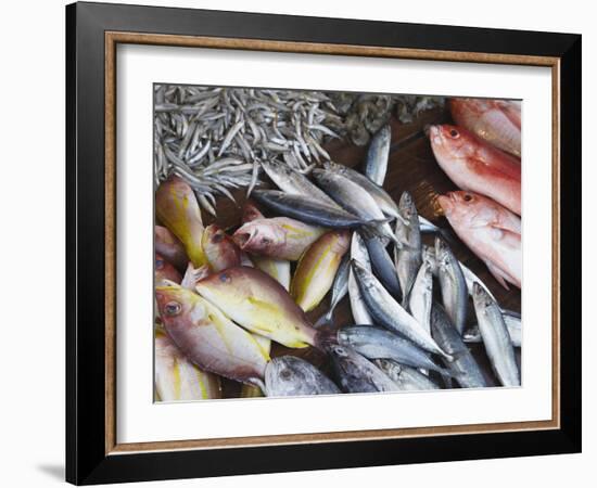 Fish at Market, Weligama, Southern Province, Sri Lanka, Asia-Ian Trower-Framed Photographic Print