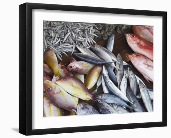 Fish at Market, Weligama, Southern Province, Sri Lanka, Asia-Ian Trower-Framed Photographic Print