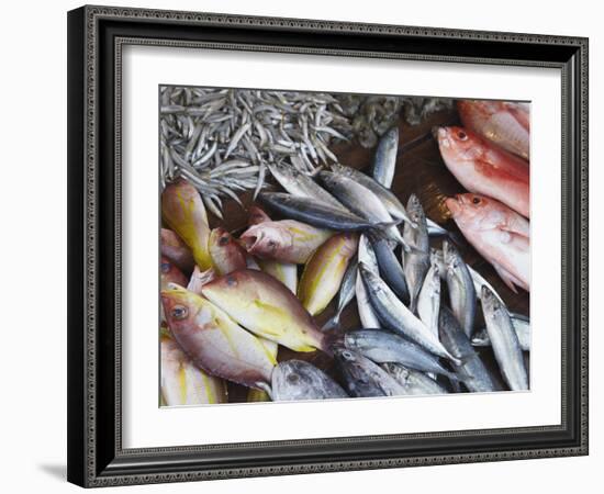 Fish at Market, Weligama, Southern Province, Sri Lanka, Asia-Ian Trower-Framed Photographic Print