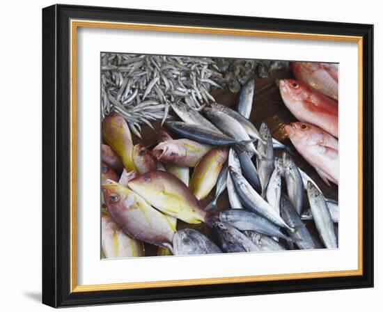 Fish at Market, Weligama, Southern Province, Sri Lanka, Asia-Ian Trower-Framed Photographic Print