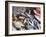 Fish at Market, Weligama, Southern Province, Sri Lanka, Asia-Ian Trower-Framed Photographic Print