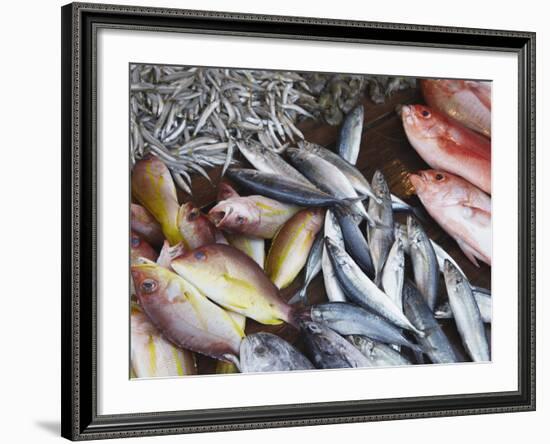 Fish at Market, Weligama, Southern Province, Sri Lanka, Asia-Ian Trower-Framed Photographic Print