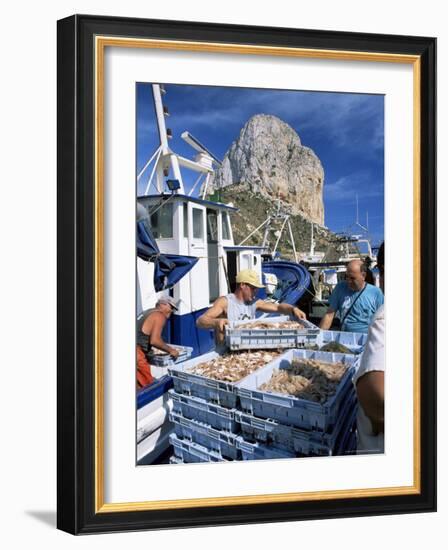 Fish Being Landed, Calpe, the Penyal d'Ifach Towering Above the Harbour, Alicante, Valencia, Spain-Ruth Tomlinson-Framed Photographic Print