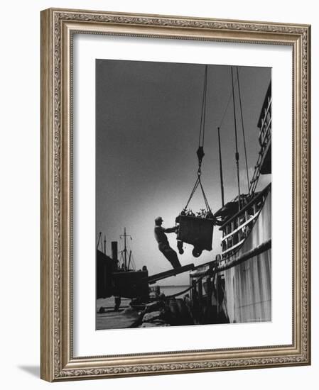 Fish Being Unloaded at Docks-Gordon Parks-Framed Photographic Print