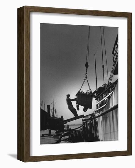 Fish Being Unloaded at Docks-Gordon Parks-Framed Photographic Print