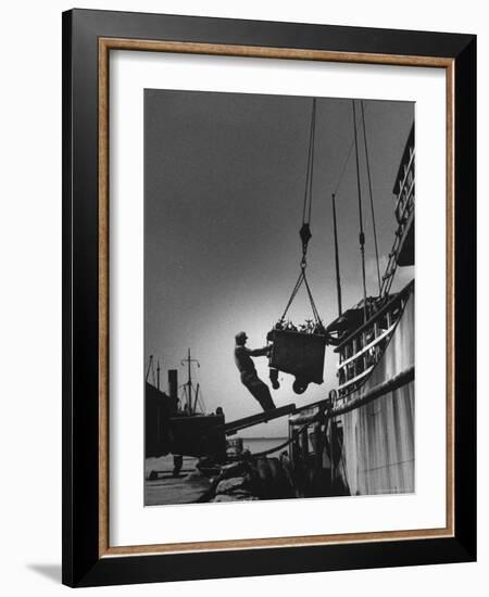 Fish Being Unloaded at Docks-Gordon Parks-Framed Photographic Print