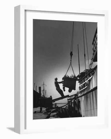 Fish Being Unloaded at Docks-Gordon Parks-Framed Photographic Print