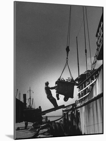 Fish Being Unloaded at Docks-Gordon Parks-Mounted Photographic Print