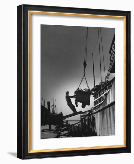 Fish Being Unloaded at Docks-Gordon Parks-Framed Photographic Print