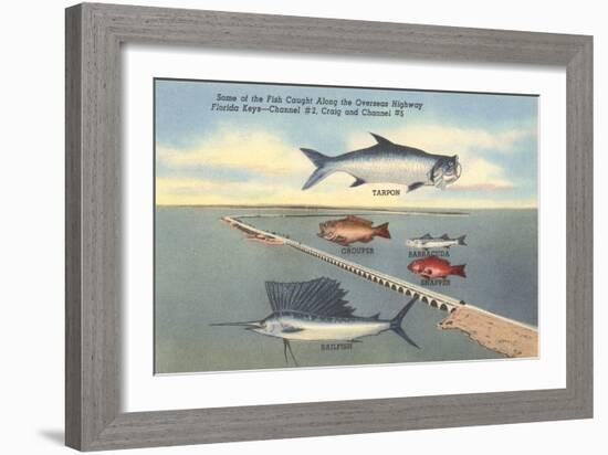 Fish, Bridge, Florida-null-Framed Art Print
