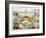 Fish, C1850-Robert Kent Thomas-Framed Giclee Print