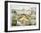 Fish, C1850-Robert Kent Thomas-Framed Giclee Print