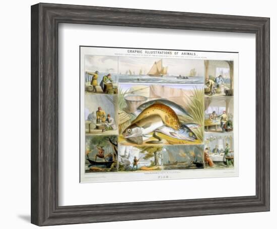 Fish, C1850-Robert Kent Thomas-Framed Giclee Print