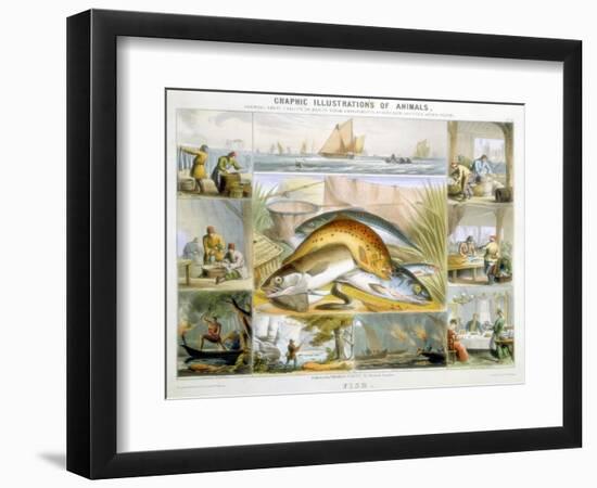 Fish, C1850-Robert Kent Thomas-Framed Giclee Print