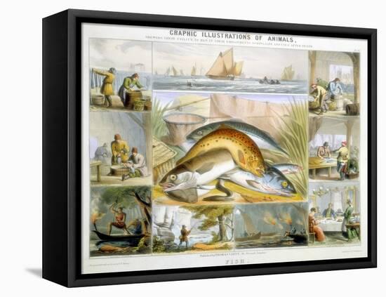 Fish, C1850-Robert Kent Thomas-Framed Premier Image Canvas