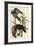 Fish Crow-John James Audubon-Framed Art Print