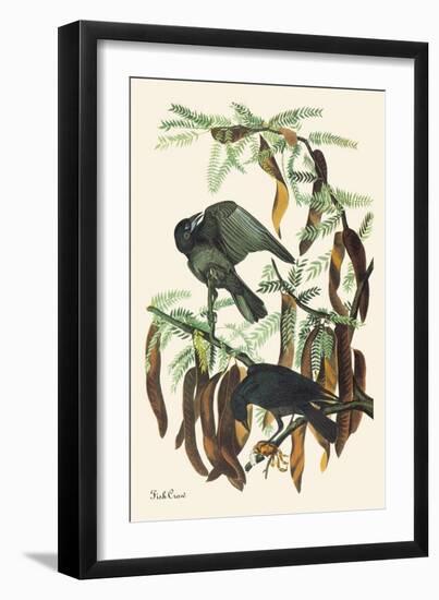 Fish Crow-John James Audubon-Framed Art Print